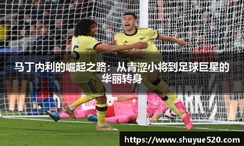 马丁内利的崛起之路：从青涩小将到足球巨星的华丽转身