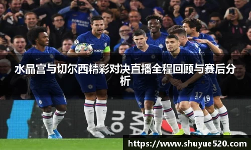水晶宫与切尔西精彩对决直播全程回顾与赛后分析