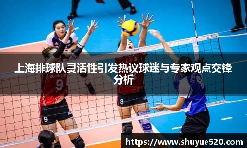 上海排球队灵活性引发热议球迷与专家观点交锋分析